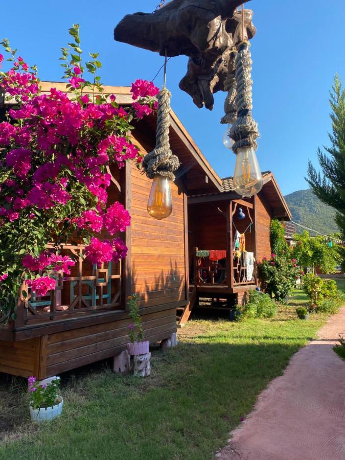 Karaoez Ada Bungalows & Villa Buitenkant foto