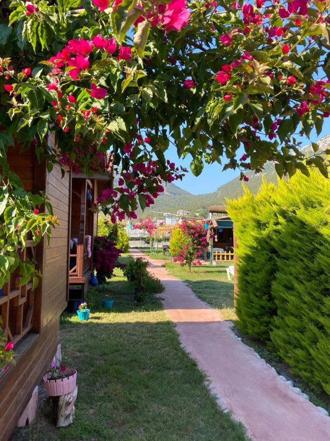 Karaoez Ada Bungalows & Villa Buitenkant foto