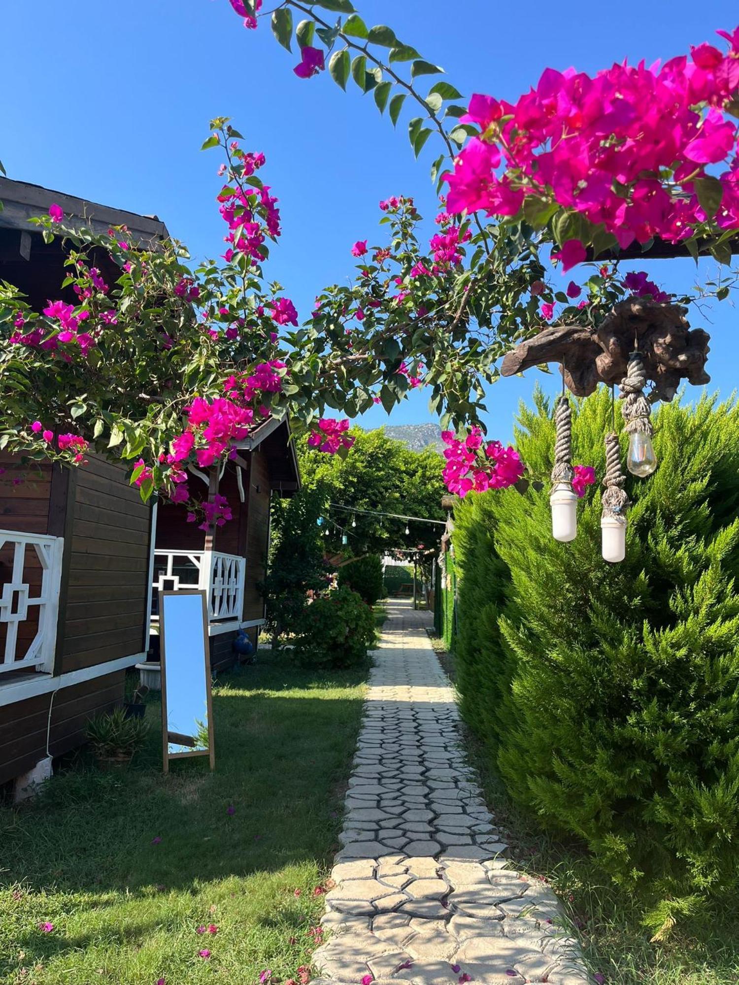 Karaoez Ada Bungalows & Villa Buitenkant foto